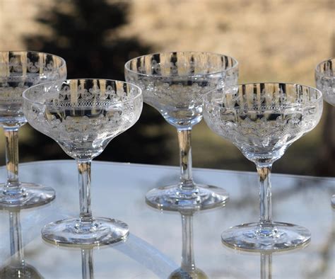 vintage needle etched cocktail glasses set of 6 circa 1920 s antique needle etched champagne
