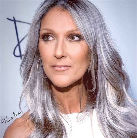 platinum blonde hair color grey hair color hair color and cut silver white hair silver chic