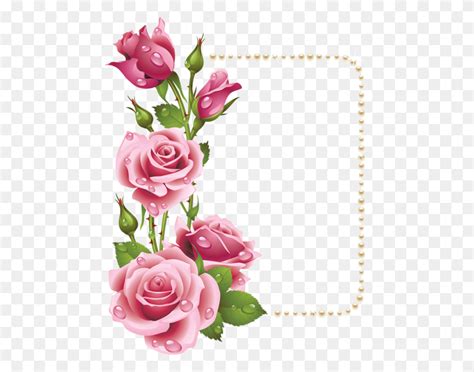 Discover and download free flores png images on pngitem. Roses And Other Flowers Rosas - Rosas PNG - Stunning free ...