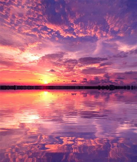 Purple Sunset Rpics