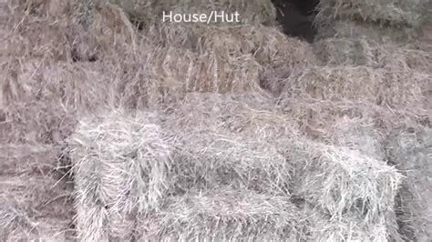 Hay Bale Fort With Lbc Part 1 Youtube