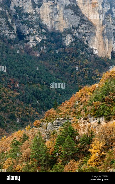 The Tarn Gorge Cevennes National Park Lozere Languedoc Roussillon