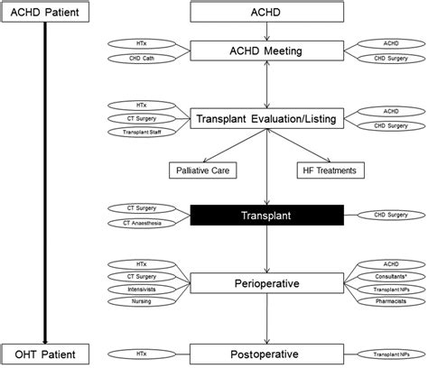 Successful Cardiac Transplantation Outcomes In Patients With Adult