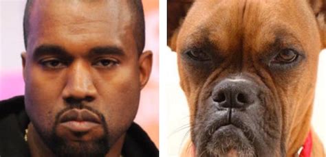 It Turns Out Everyone Has A Dog Doppelgänger