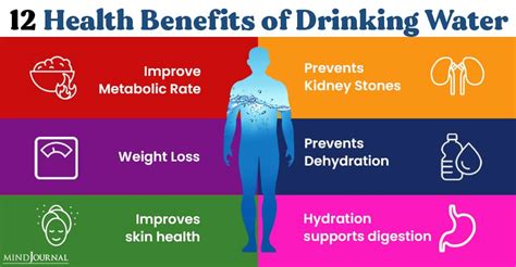Health Benefits Of Drinking Water The Minds Journal