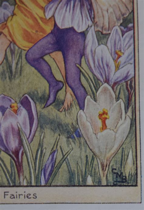 Flower Fairy Printthe Crocus Fairiesby Cicely Etsy