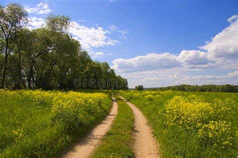 16536 Russia Landscape Road Field Photos Free And Royalty Free Stock