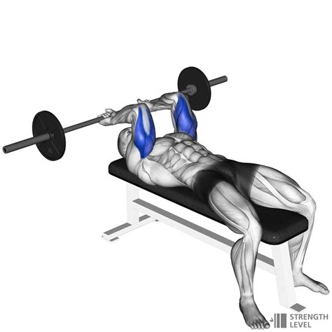 Lying Tricep Extension Standards For Men And Women Kg Strength Level