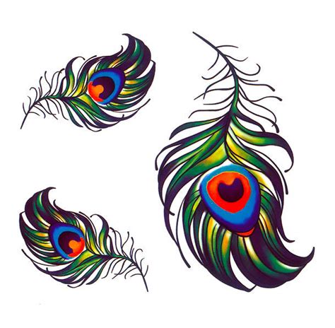Peacock Feathers Tattoo Drawing