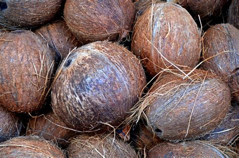 3840x2553 Brown Coconut Exotic Food Healthy Market Nutrition