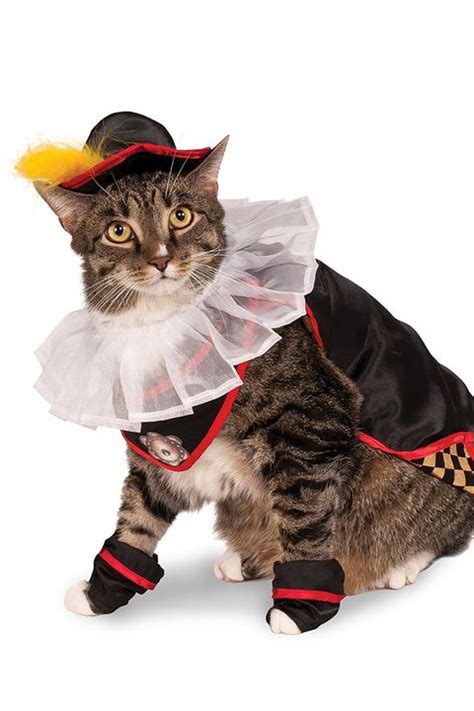 26 Pet Cat Halloween Costumes 2018 Cute Ideas For Cat Costumes