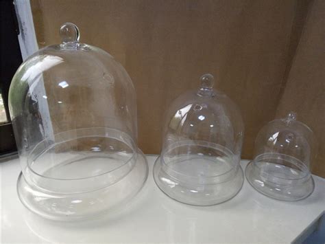 Glass Dome Bell Jar Cloche Terrarium Glass Designs