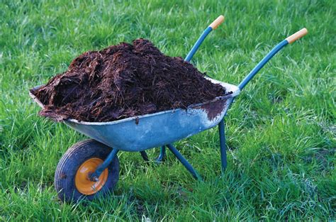 When To Fertilize Your Lawn Yard Smart