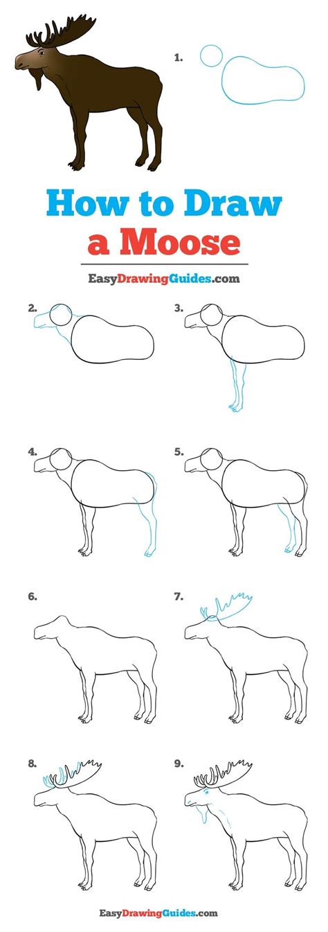 How To Draw A Moose Really Easy Drawing Tutorial Moose Painting