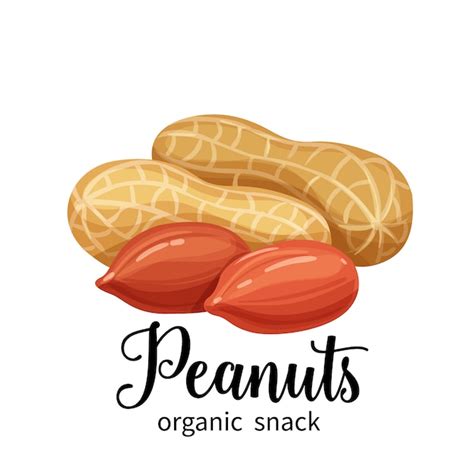 Peanuts In Cartoon Style Premium Vector