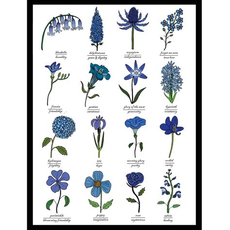 Blue Flowers Print Identification Chart Symbolism Wall Art Chart Floral