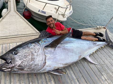 Giant Bluefin Tuna Fish