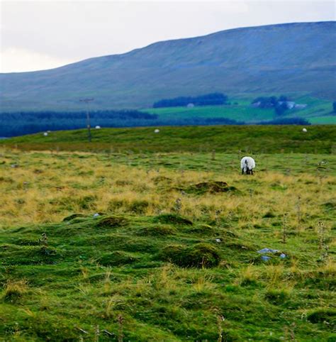 Yorkshire stone craft has an estimated revenue of <$1m and an estimate of less <10 employees. Remains of Bronze Age clearance mounds, near Ribblehead ...