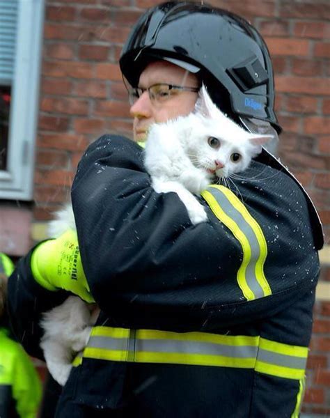 Firefighter Saving Cat