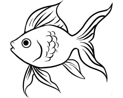 Fish Cartoon Drawing Fish Drawings Fish Sketch