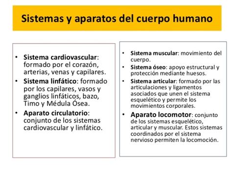 Diferencias Entre Aparatos Y Sistemas Del Cuerpo Humano Cuadro
