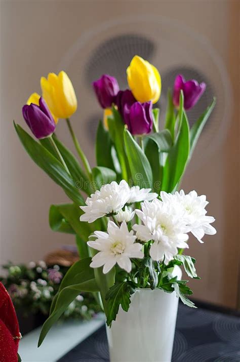 Bouquets Of Tte Daisies And Tulips Stock Photo Image Of Green Floral