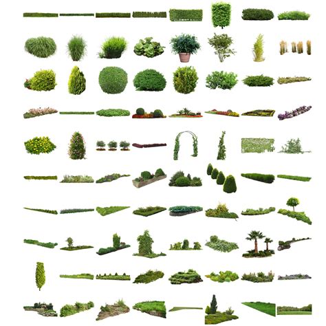 Cutout Plants V01 Graphics For Architecture Visualization