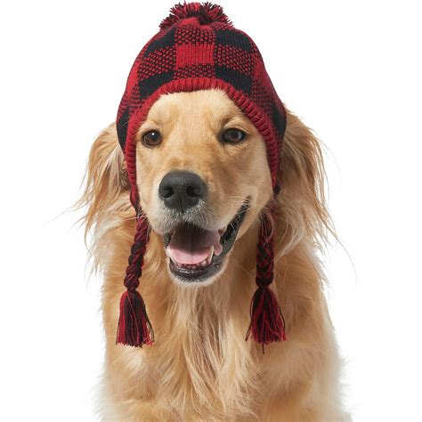 The Cutest Winter Dog Hats Daily Paws