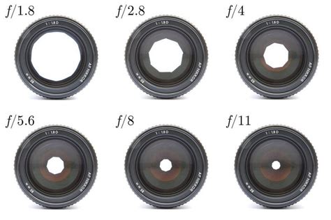 Photography 101 Understanding Aperture Yummymummyclubca