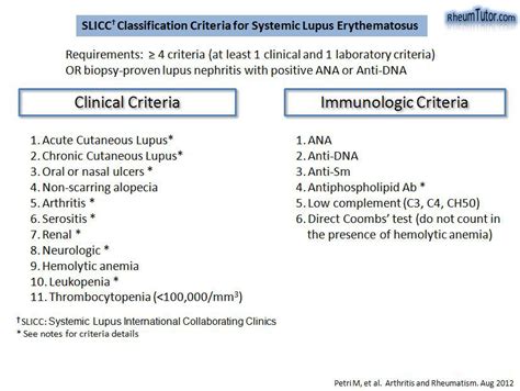 Systemic Lupus Erythematosus Human Pathology