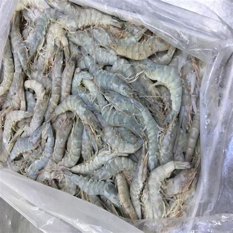 Buy Wholesale Thailand Frozen Vannamei White Shrimp Frozen Vannamei