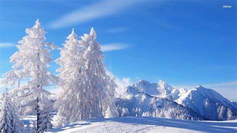 38 High Resolution Wallpaper Winter Wonderland On