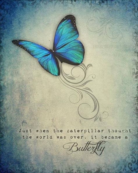 Pin By Kimmy On Dream Art Butterfly Quotes Butterfly Drawing