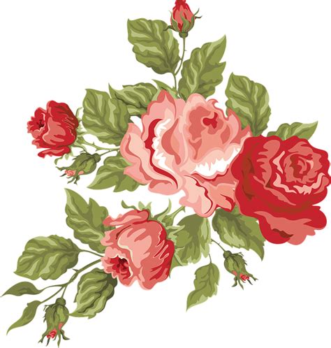 Download transparent red flower png for free on pngkey.com. Flower PNG Transparent Images, Pictures, Photos | PNG Arts