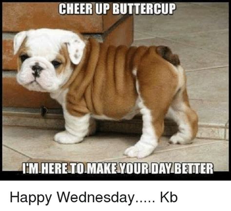 I'm afraid i have to leave work early today for whatever excuse you'll believe. Happy Wednesday Memes to Post to Social Media
