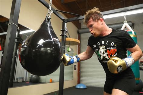 Gethuman does not work directly with fred loya insurance's customer support operations. Photos: Canelo Alvarez Grinds Hard For Golovkin Rematch - Boxing News
