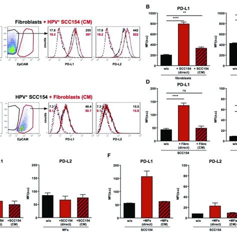 Cd68 Cd163 And Inos Expression In P16 Positive And P16 Negative