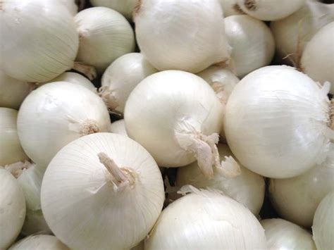 Heirloom Non Gmo Southport White Globe Onion 50 Seeds