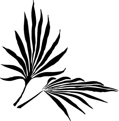 Palm Leaves Frond Tree Free Vector Graphic On Pixabay