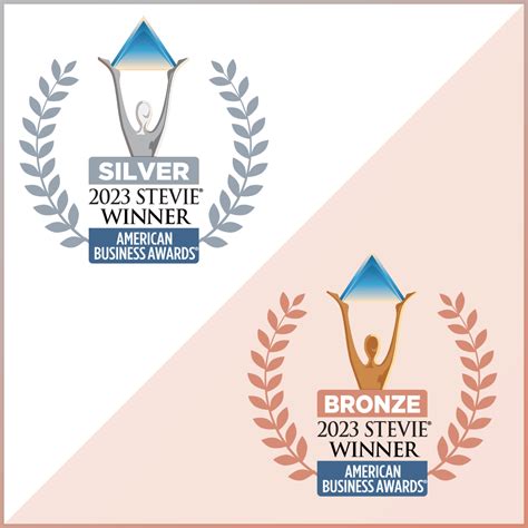 BDS CONNECTED SOLUTIONS LLC HONORED AS SILVER AND BRONZE STEVIE