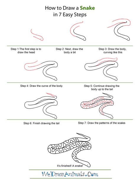 How Do You Draw A Snake Draw Wrt