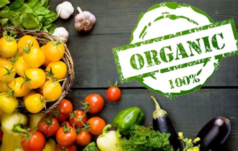 buah sayuran organik  perlu  makan fruitnewmediacom