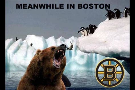 Funny Hockey Memes Boston Bruins Edition
