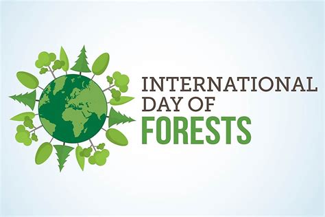 When And Why Is International Day Of Forests Celebrated Worldatlas