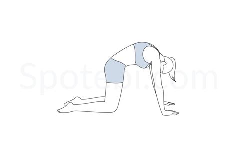 Cat Pose Cat Pose Workout Guide Yoga Poses