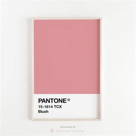 Blush Pantone Pink Pantone Pink Pantone Poster Blush Etsy