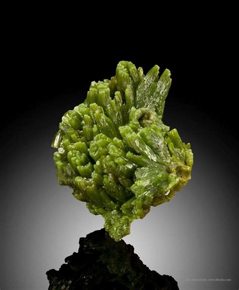 Waxy Green Pyromorphite Crystal Spray Irocks Fine Minerals