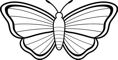 Bagaimana menggambar kupu kupu tahap demi tahap. gambar sketsa kupu kupu - Thegorbalsla