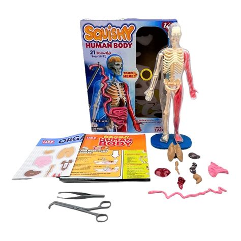 Smartlab Squishy Human Body Anatomy Toy W 21 Removable Parts And Books