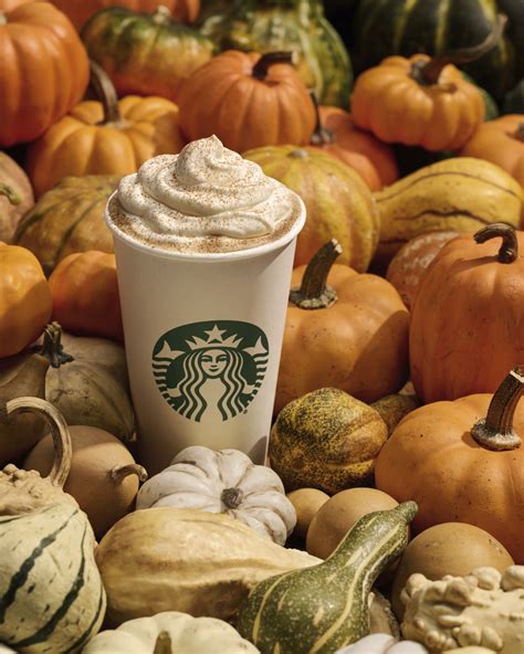 Starbucks Pumpkin Spice Lattes Are Now Available
